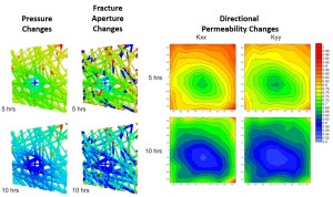 Natural Fracture Responses to Production